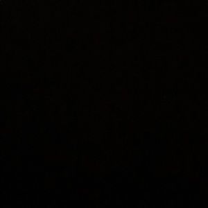 Meet your Posher, Chase